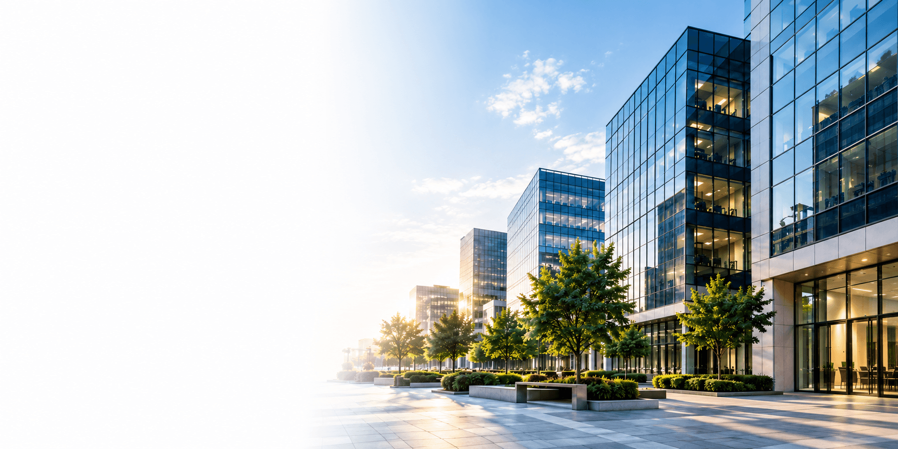 Modern glass office towers along a tree-lined plaza in morning sunlight